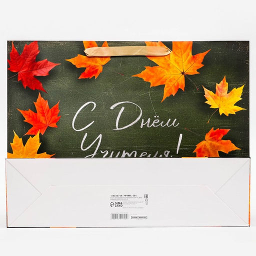 Пакет ламинированный горизонтальный «С Днем Учителя!», 40×31×11.5 см