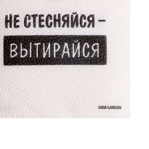 Цена за 2 шт. Салфетки бумажные однослойные «Не стесняйся-вытирайся», 24×24 см, набор 20 шт.