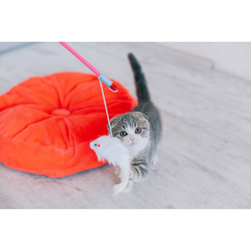 Дразнилка-удочка с белой мышью, палочка микс цветов - Пижон фото 5