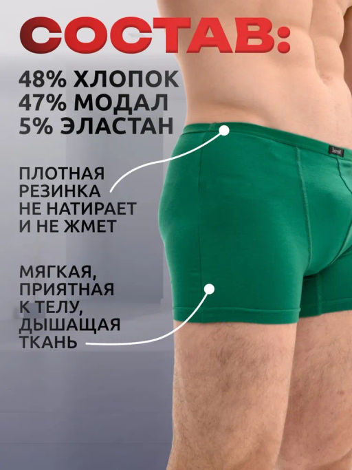 Мужские трусы Berrak 4488