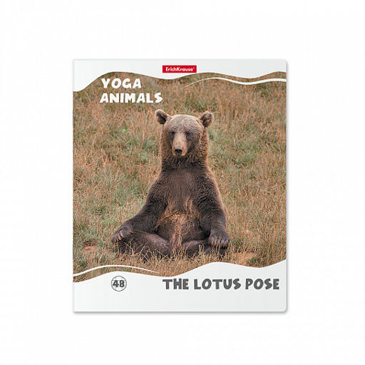 Цена за 5 шт. Тетрадь общая ученическая ErichKrause Yoga Style, 48 листов, клетка, матовая ламинация_MIX-PACK фото 5
