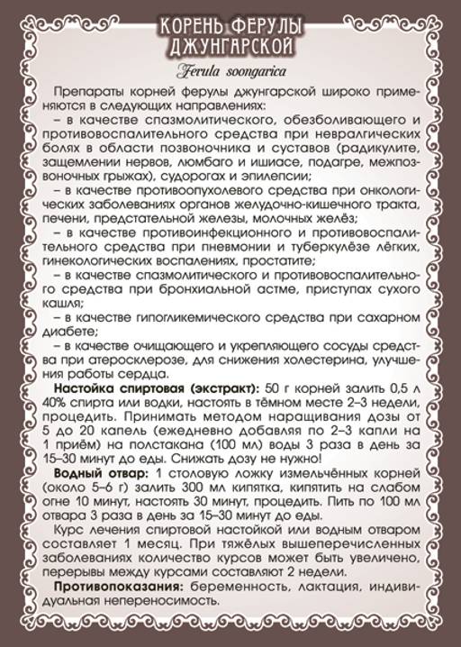 Ферула джунгарская (омик), (корень) - Мариславна фото 4