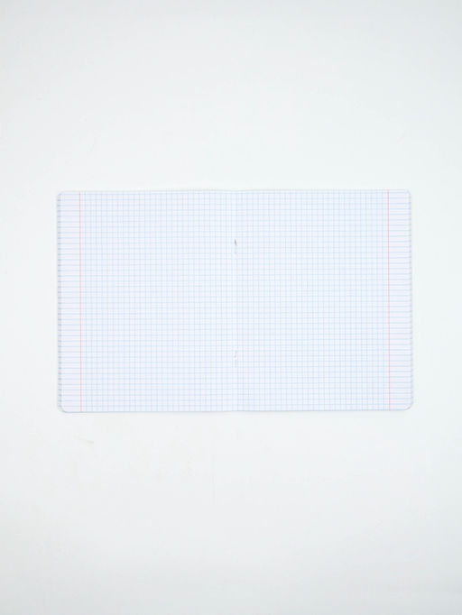 Тетради в клетку, 48 л., набор из 5 шт., блок №1 Россия - Artfox study фото 3