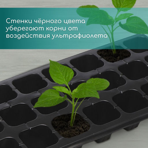 Цена за 2 шт. Кассета для рассады, 21 ячейка по 150 мл, пластик, чёрная, 54×28×7 см, Greengo