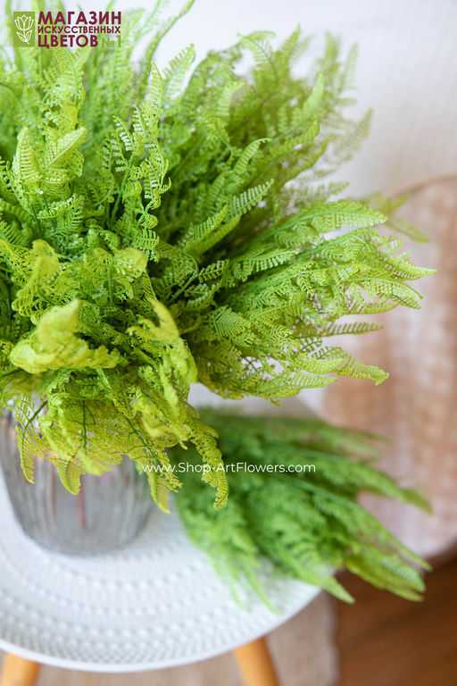 108 Папоротник - Без тм фото 5