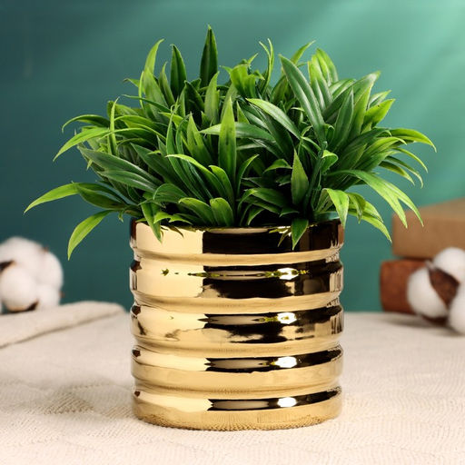 Декоративный горшок для цветов «Золотые грани», 10×10×10 см, керамический, золотистый