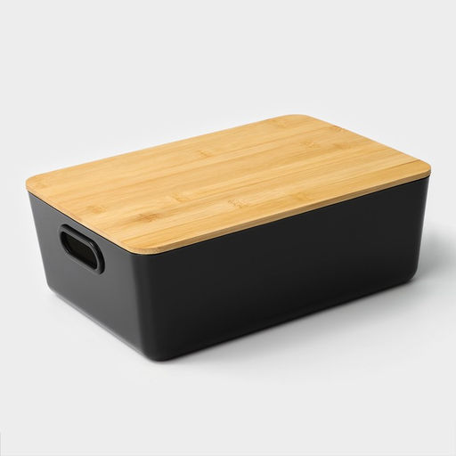 Контейнер для хранения с крышкой LaDо́m «Лаконичность», 29.5×20.3×10.5 см, цвет тёмно - серый