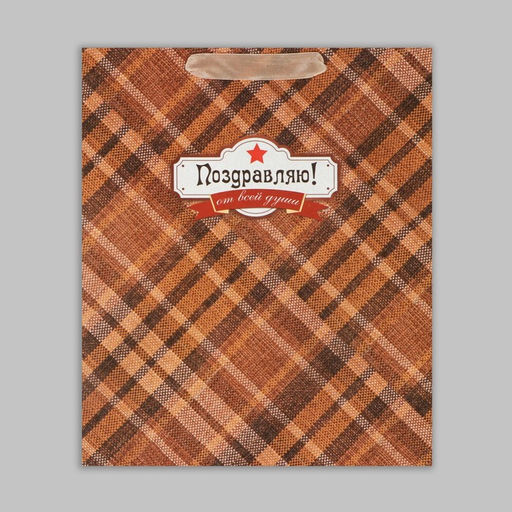 Цена за 2 шт. Пакет подарочный крафтовый, упаковка, Поздравляю от всей души!, ML 23?27?11.5 см