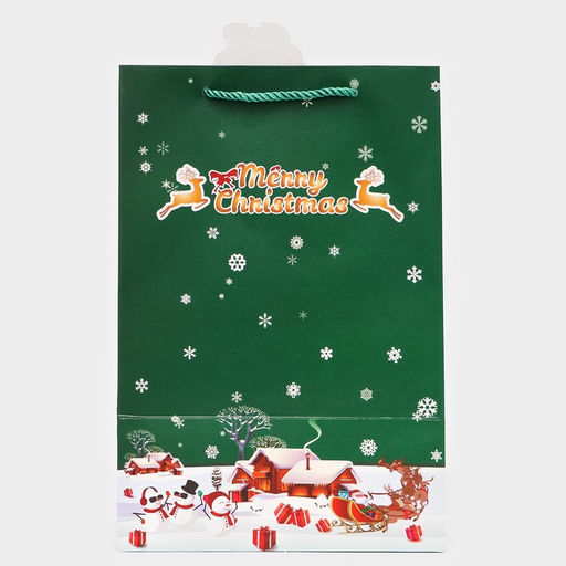 Цена за 2 шт. Пакет подарочный ламинированный с окном «Новый год» тиснение, 30×20×16 см, зеленый