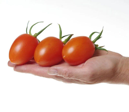 Томат Барокко - Партнер фото 3