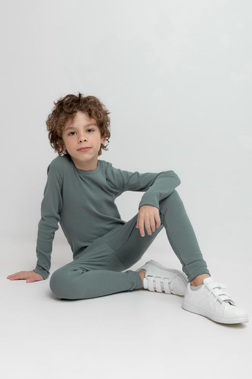 Crockid _ К 400427-1/полынь бриджи дет