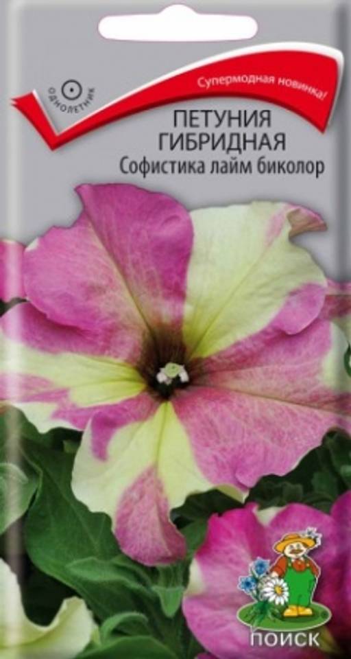 Петуния гибридная Софистика Лайм биколор (ЦВ) (1) 5шт - Поиск фото 2