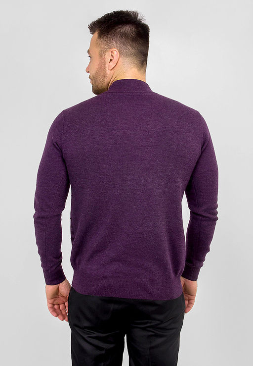 Джемпер мужской GREG G121-12-полосы (т.фиол./бордо)  фото 5