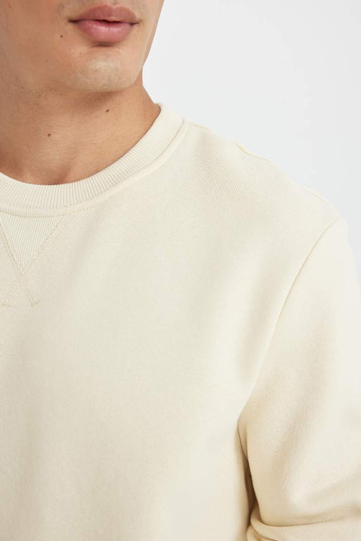 Толстый свитшот обычного кроя с круглым вырезом - Defacto фото 5