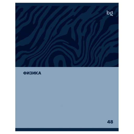Цена за 2 шт. Тетрадь 48л. SINGLE COLOUR "Физика" (ТПск48 63780, BG)