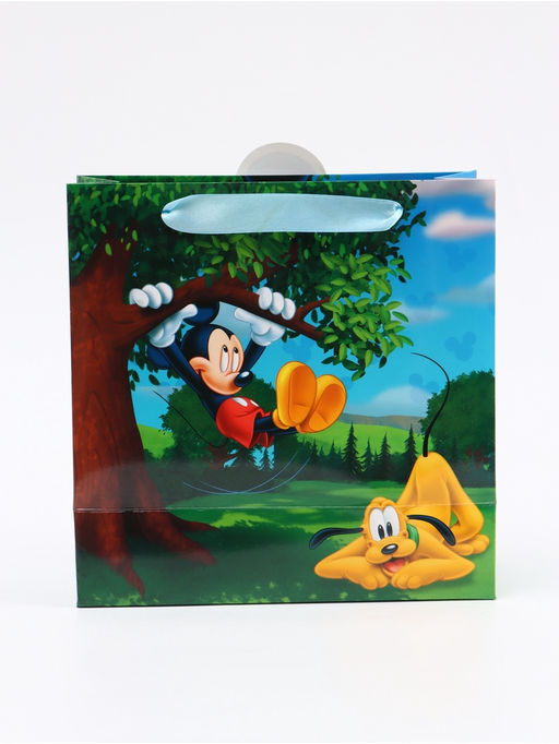 Цена за 2 шт. Пакет подарочный «Мышонок», 22 × 22 × 10 см