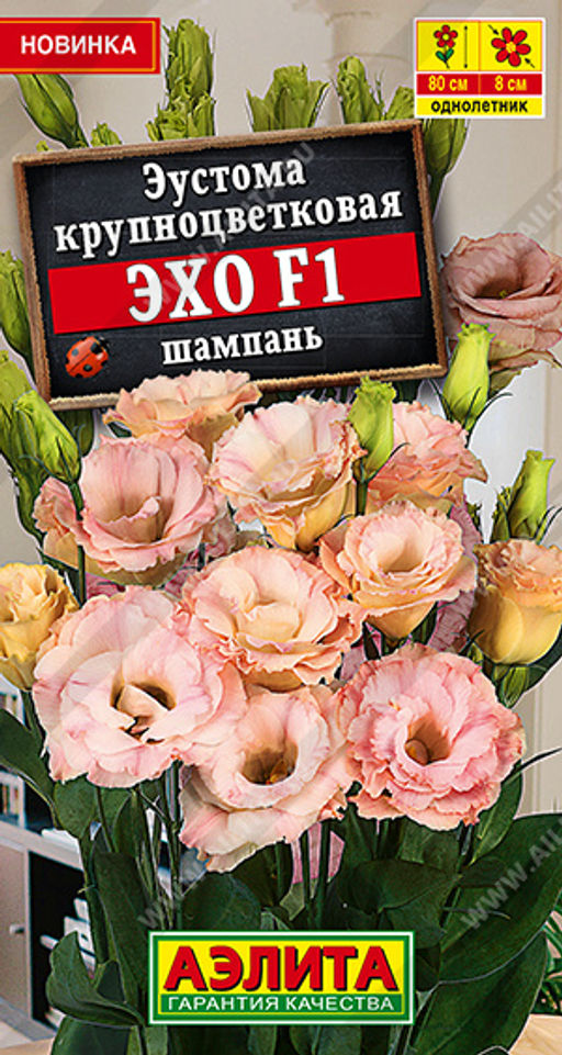 Эустома Эхо F1 шампань крупноцветковая (2028
