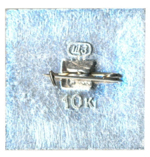 Значок Звенигород