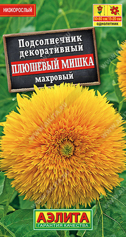 1757A Подсолнечник махровый Плюшевый мишка 0,5гр