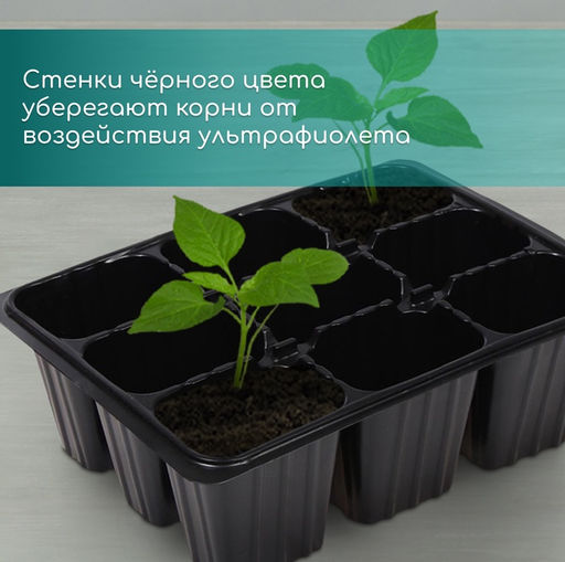 Цена за 2 шт. Кассета для рассады, 9 ячеек по 80 мл, пластик, чёрная, 18×13×6 см, Greengo