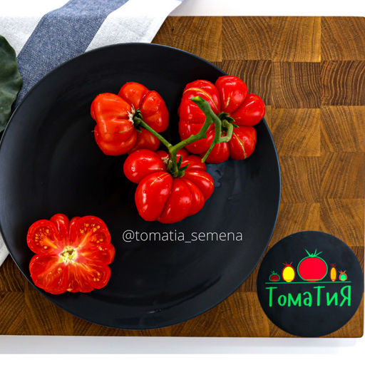 Рейсетомейт - Tomatia фото 2