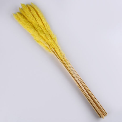 Сухоцвет Камыш набор 15 шт, цвет оранжевый - Simaland фото 4