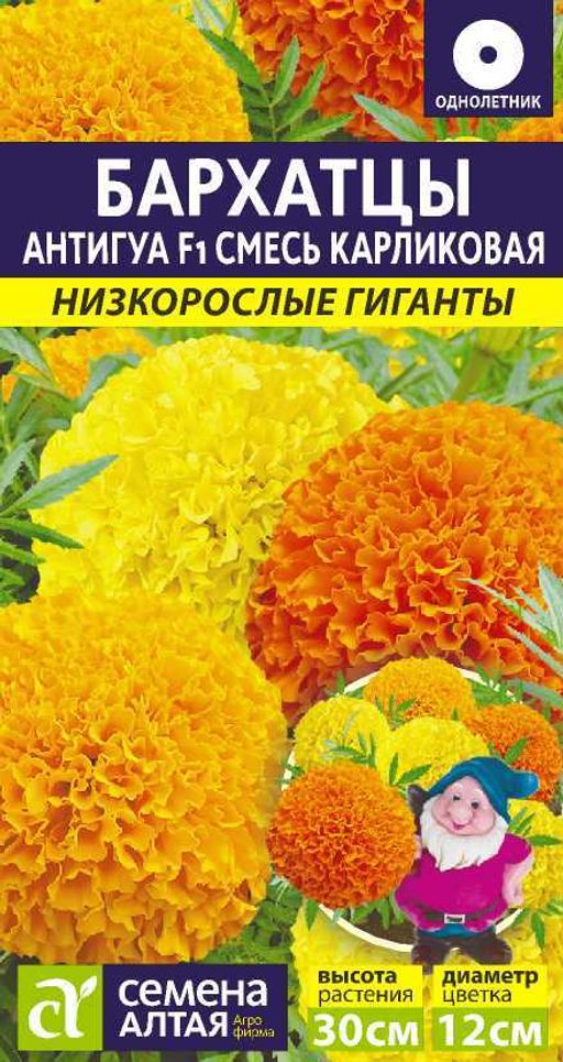 Бархатцы Антигуа Смесь карликовая/Сем Алт/цп 5 шт. Низкорослые гиганты