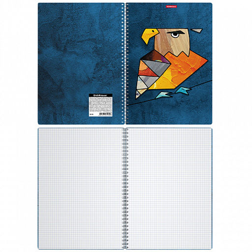 Цена за 2 шт. Тетрадь общая с пластиковой обложкой на спирали ErichKrause Birds, ассорти, А4, 80 листов, клетка  фото 7