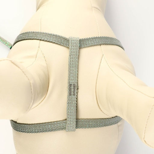 Комплект амуниции с игрушкой и круглым поводоком 120 х 1 см, ОШ 22-38 см, ОГ 22-38 см, зелёный 71490 - Пижон фото 6