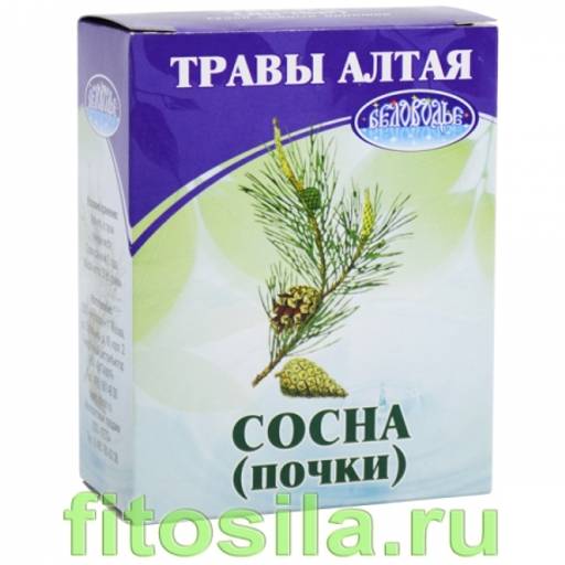 Сосна, почки, 50 г (коробочка), чайный напиток