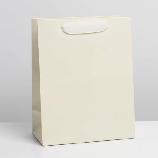 Цена за 2 шт. Пакет подарочный ламинированный, упаковка, «Молочный», MS 18 х 23 х 10 см