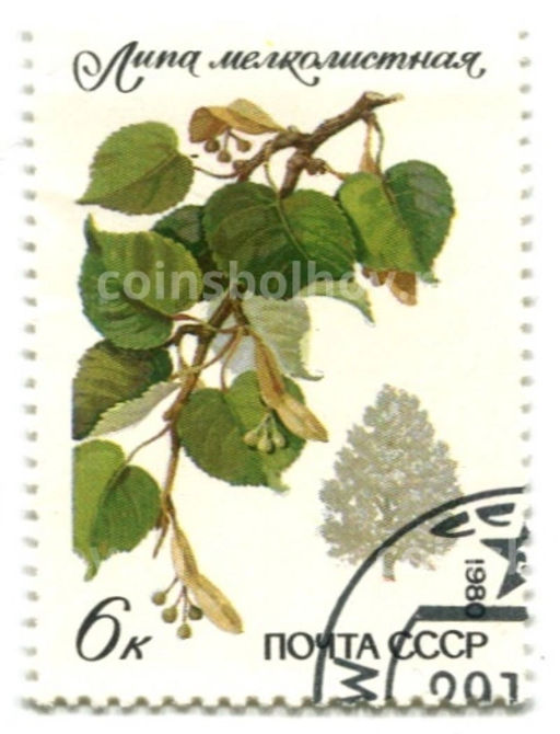 Марка Липа мелколистаня 1980 год