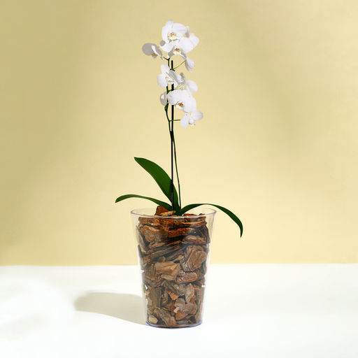 Горшок для орхидей, 1.2 л, 12.5×16.6 см, пластиковый, прозрачный