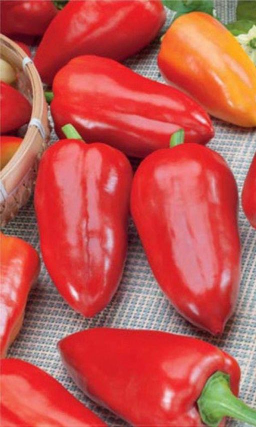 Перец ЭЛЬФ  Большой урожай без проблем!