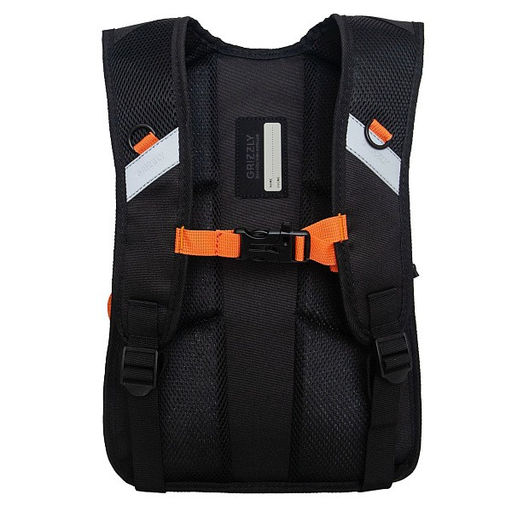 RB-450-3 Рюкзак школьный - Grizzly фото 48