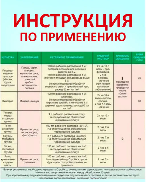 Фунгицид для растений Строби 2 гр. - 1000 деталей фото 2