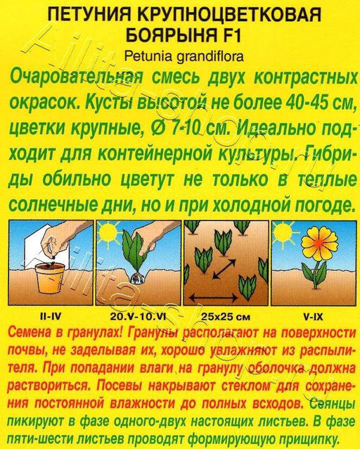 Петуния Боярыня F1 крупноцветковая, смесь 10шт. (Аэлита)