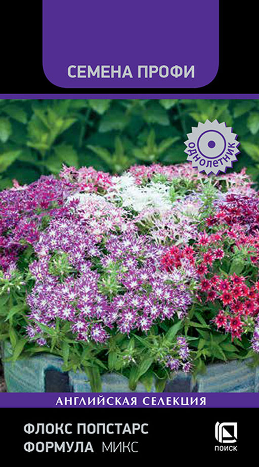Флокс Попстарс Формула микс (Семена Профи) (ЦВ) ("1) 7шт