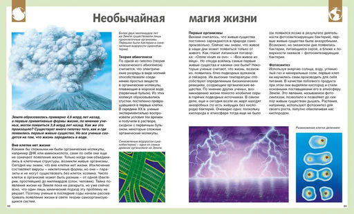 Универсальная школьная энциклопедия (нов.оф.). Перруден Ф., Камбурнак Л., Симон Ф.,... - Махаон фото 5