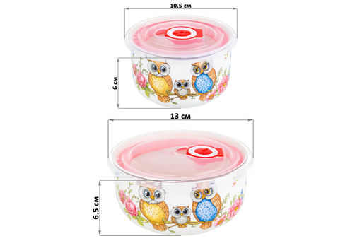 Набор 2 салатников - 13*13*6,5 см 560 мл+10,5*10,5*6 см 260 мл Совушки с плас.крыш. NEW BONE CHINA - Elan gallery фото 14