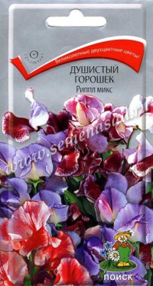 Душистый горошек Риппл микс (ЦВ) (1) 0,5гр. - Поиск фото 2