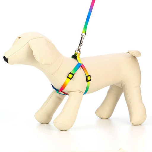 Комплект Радуга, капрон, поводок 120 х 1 см, ОГ 24-34 см, разноцветный - Пижон фото 2