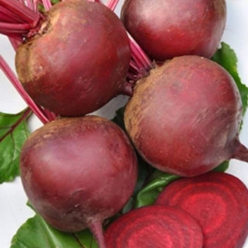 6275U Свекла столовая Русская односемянная 1гр