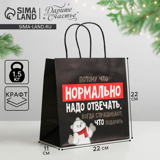Цена за 2 шт. Пакет подарочный новогодний «Нормально надо отвечать», 22×22×11 см
