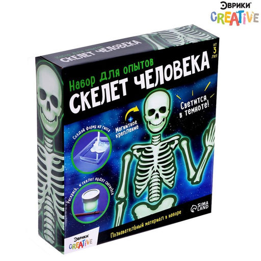 Набор для опытов Скелет человека - Эврики фото 9