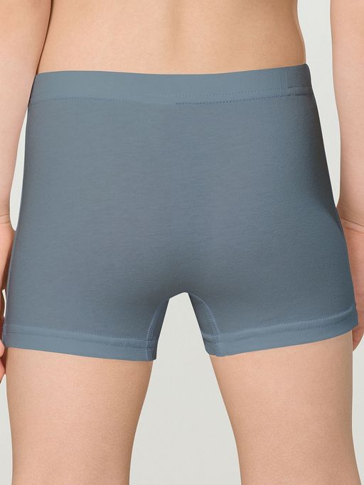 BUHB3308(2шт. в упаковке) трусы для мальчиков - Pelican фото 5