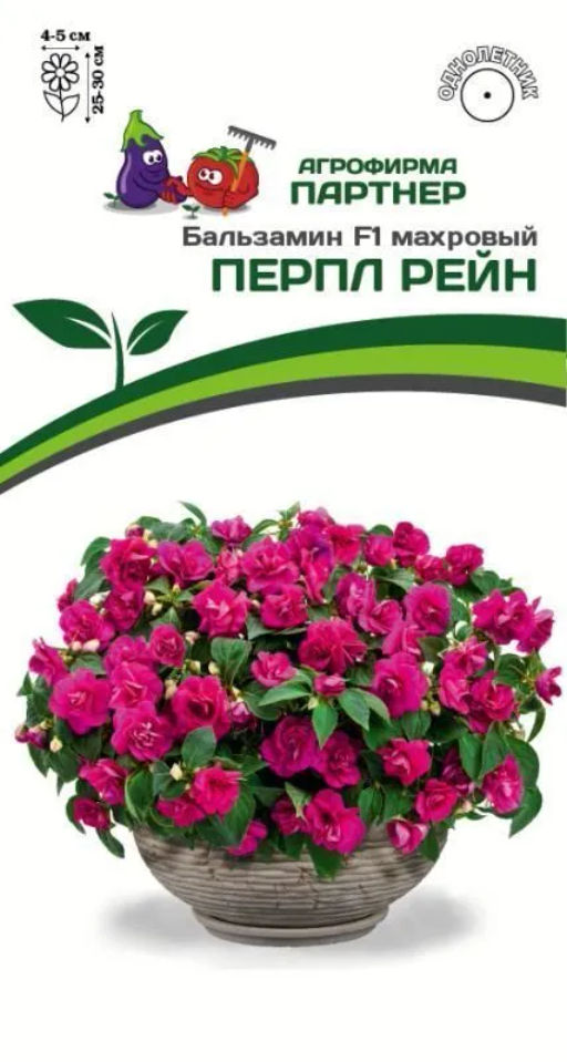 Бальзамин махровый Перпл Рейн