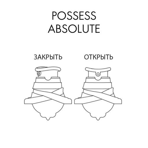 Парфюмерная вода Possess Absolute