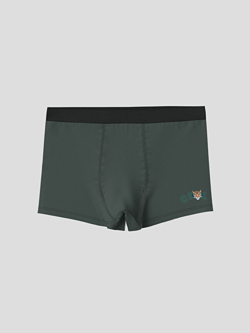 Bask?l? Erkek ?ocuk Boxer 3l? - Waikiki фото 3