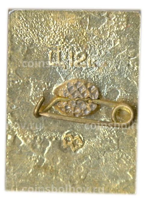 Значок София Киевская